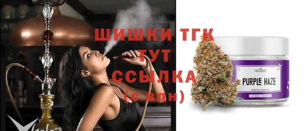 бошки Дрезна